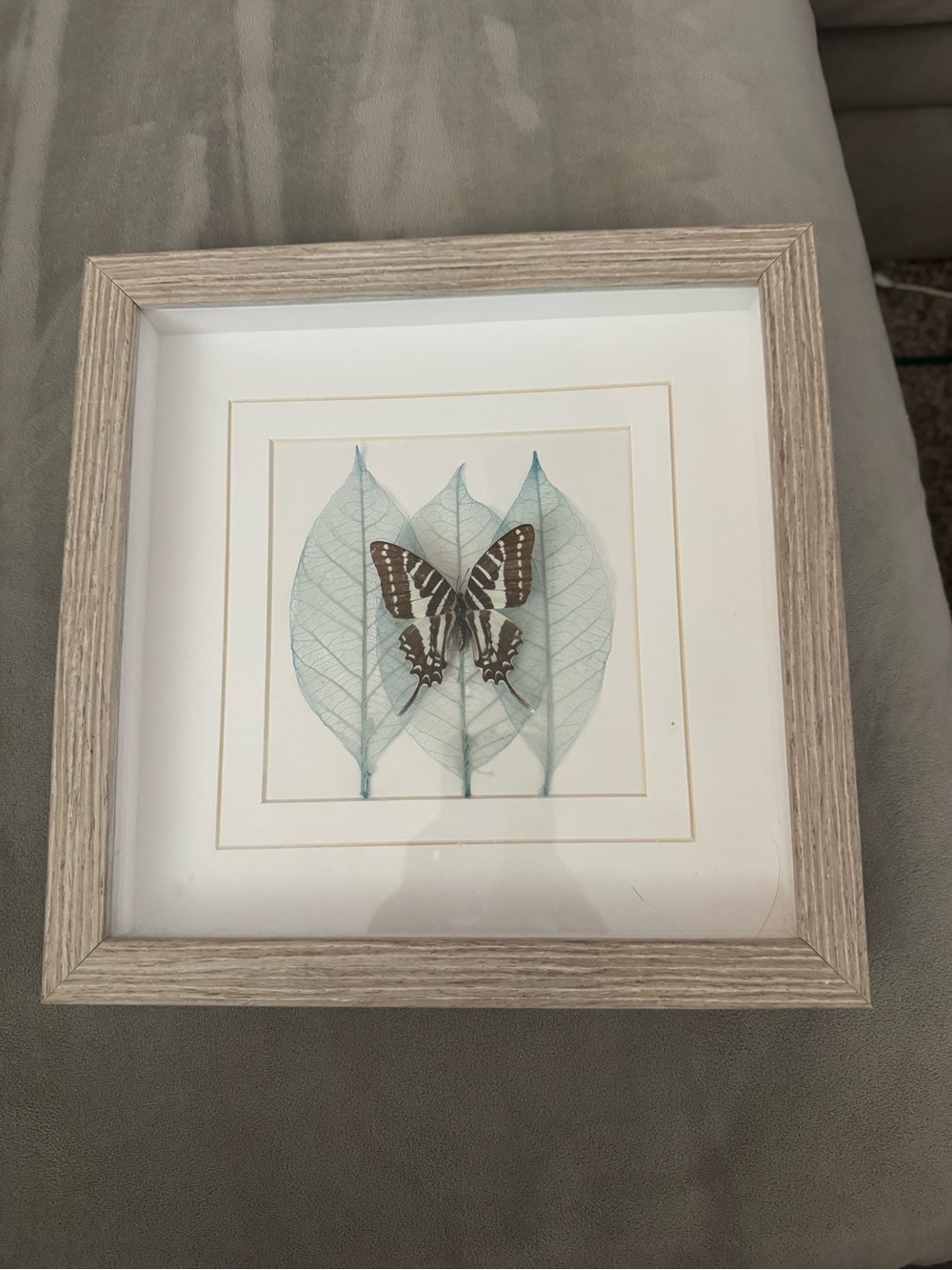 Framed Butterfly Art with Pale Blue Skeleton Leaves